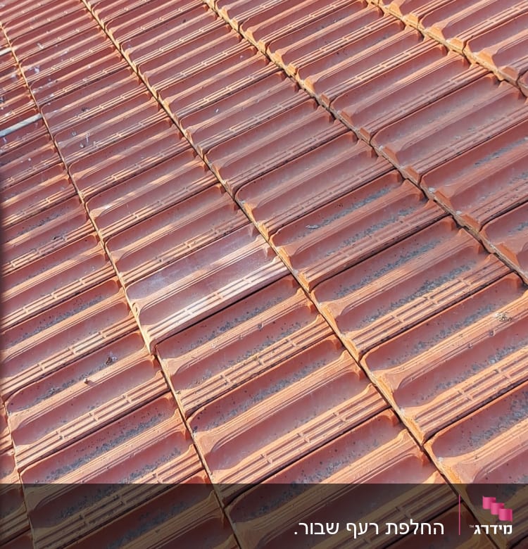 אחרי ההחלפה